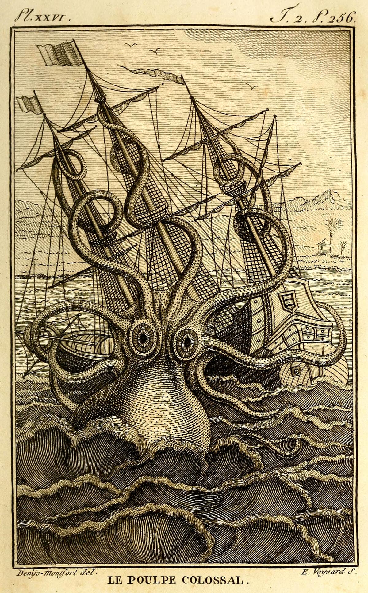 Le Poulpe Colossal — Pierre Denys de Montfort, 1801